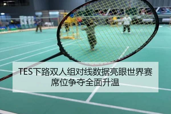 TES下路双人组对线数据亮眼世界赛席位争夺全面升温