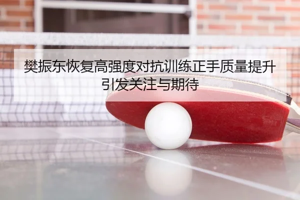 樊振东恢复高强度对抗训练正手质量提升引发关注与期待