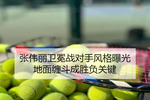 张伟丽卫冕战对手风格曝光 地面缠斗成胜负关键